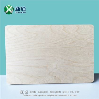 신강 전체 자작 나무 합판 18mm