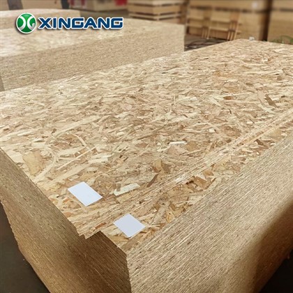 XinGang E0 E1 등급 9mm 12mm 15mm 18mm OSB2 OSB3 지향 스트랜드 보드