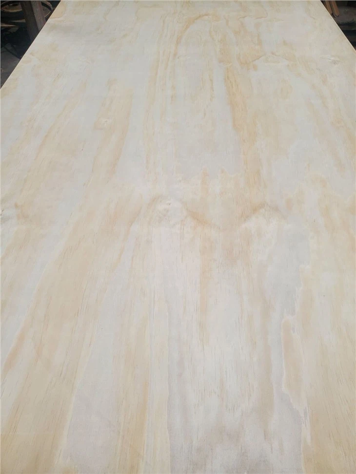 구조용 합판 소나무 얼굴 및 뒤 포플러 코어 고품질 상업용 합판