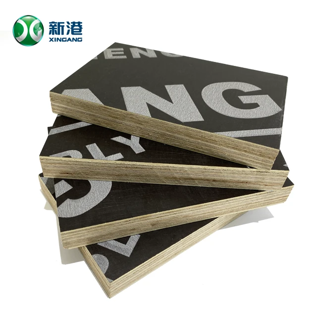 Birch Filim Faced Plywood 20250811 factory
