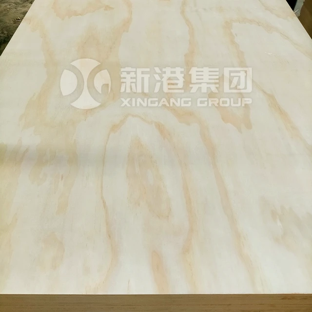 Pine Plywood 20250224